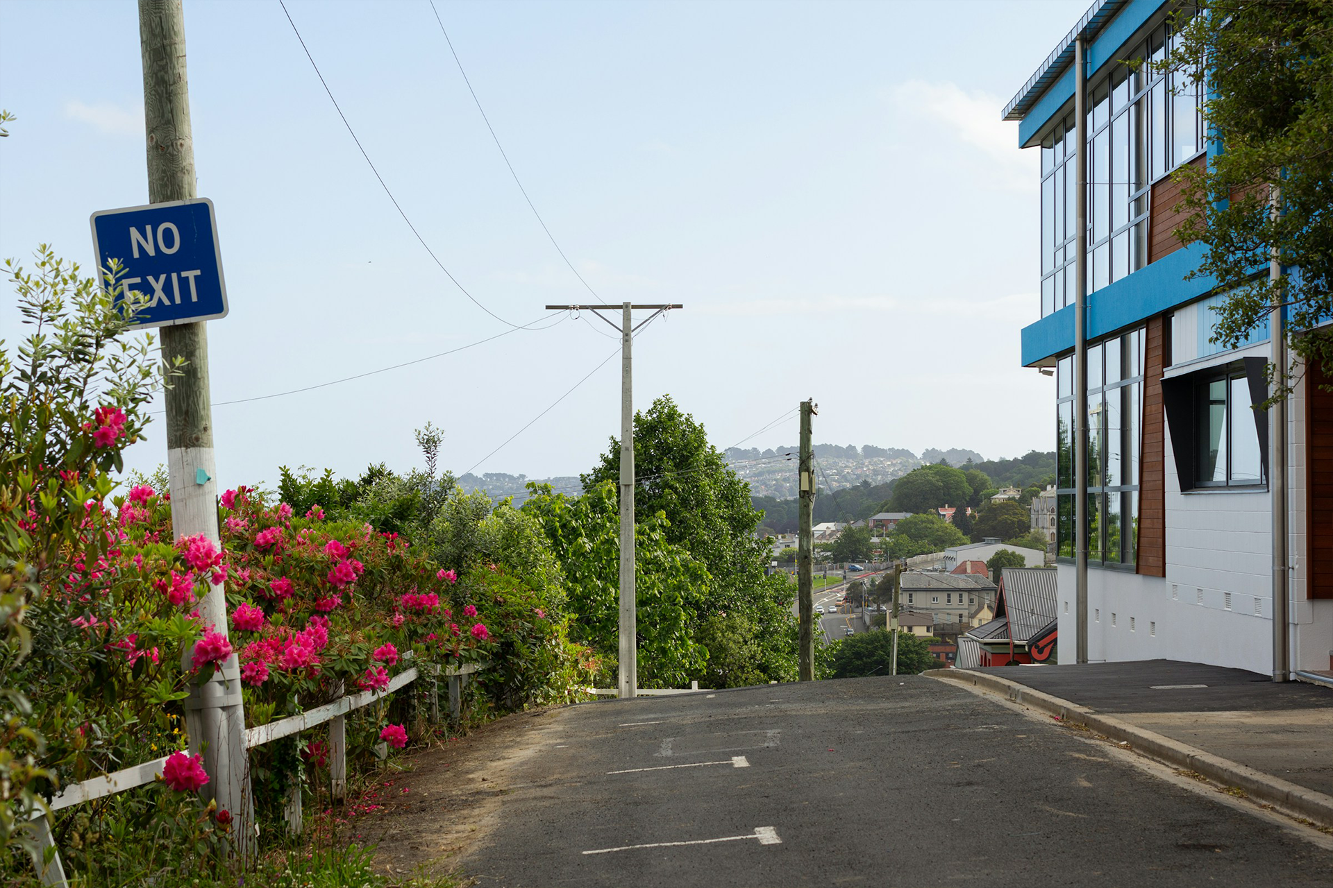 The New Zealand Biodiversity Factor—Residential (NZBF-R): A Tool to Rapidly Score the Relative Biodiversity Value of Urban Residential Developments
