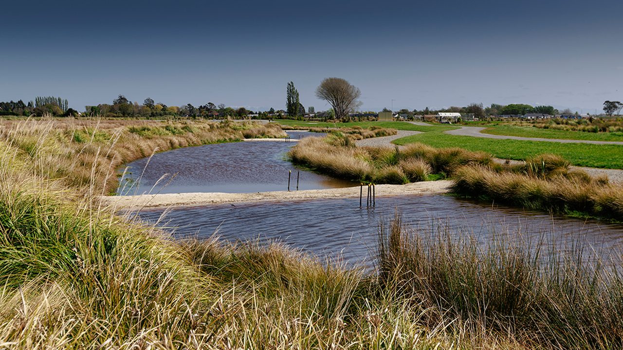 Aidanfield vegetated swale and detention pond