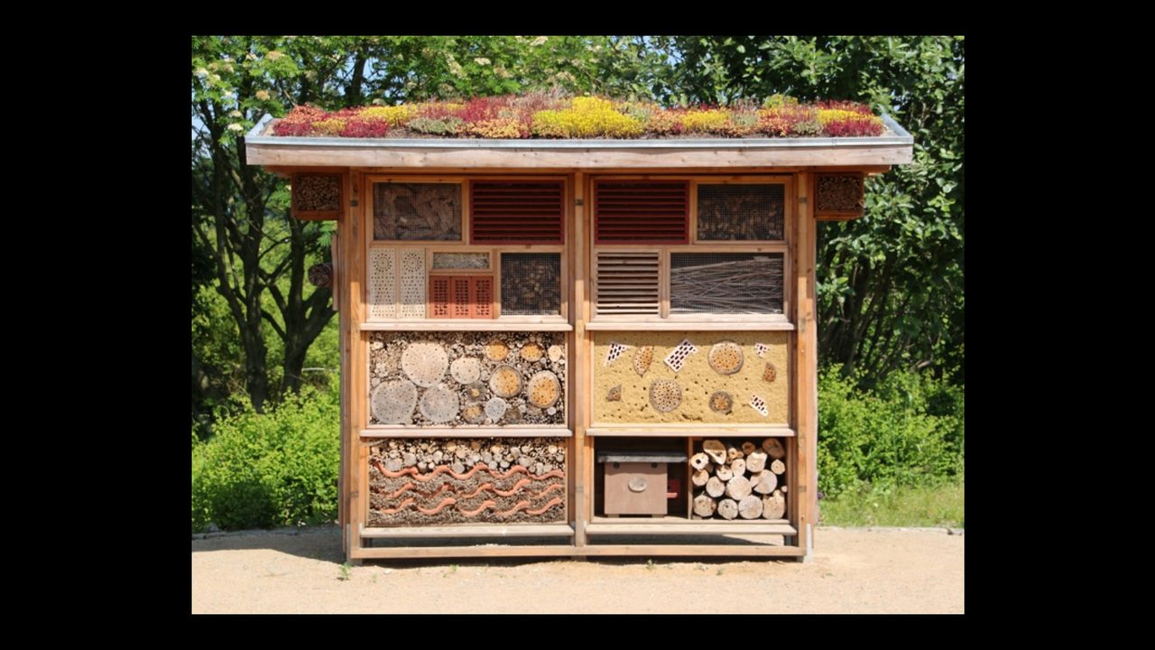 Artificial micro-habitats