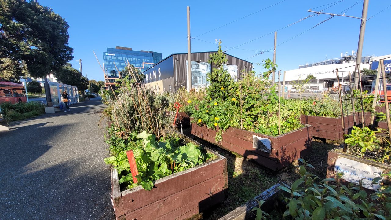 Daldy Street Community Garden