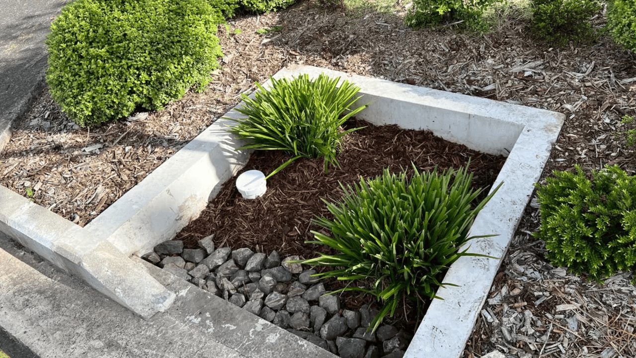 Filterra at Owairaka subdivision