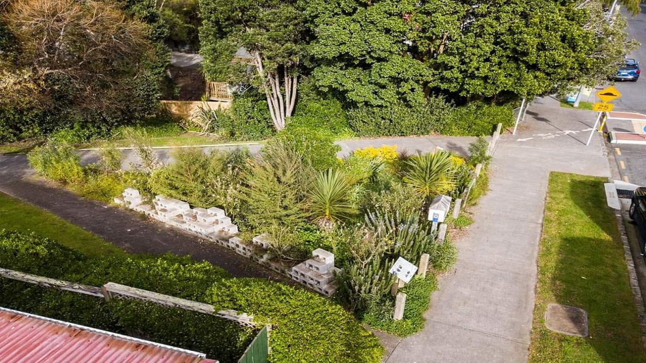 Hakanoa Reserve pollinator pathway