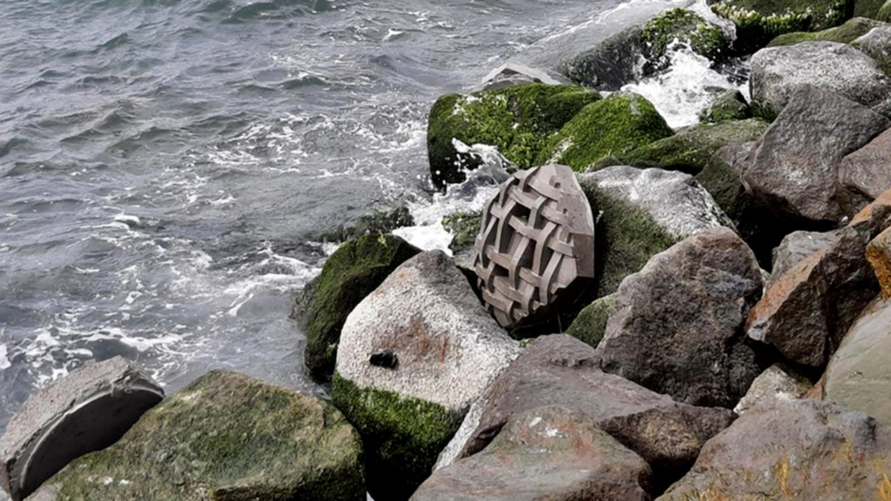 Kete Tiles installed on a Wellington waterfront seawall, providing textured intertidal habitat for marine invertebrates and enhancing biodiversity on hard coastal infrastructure.