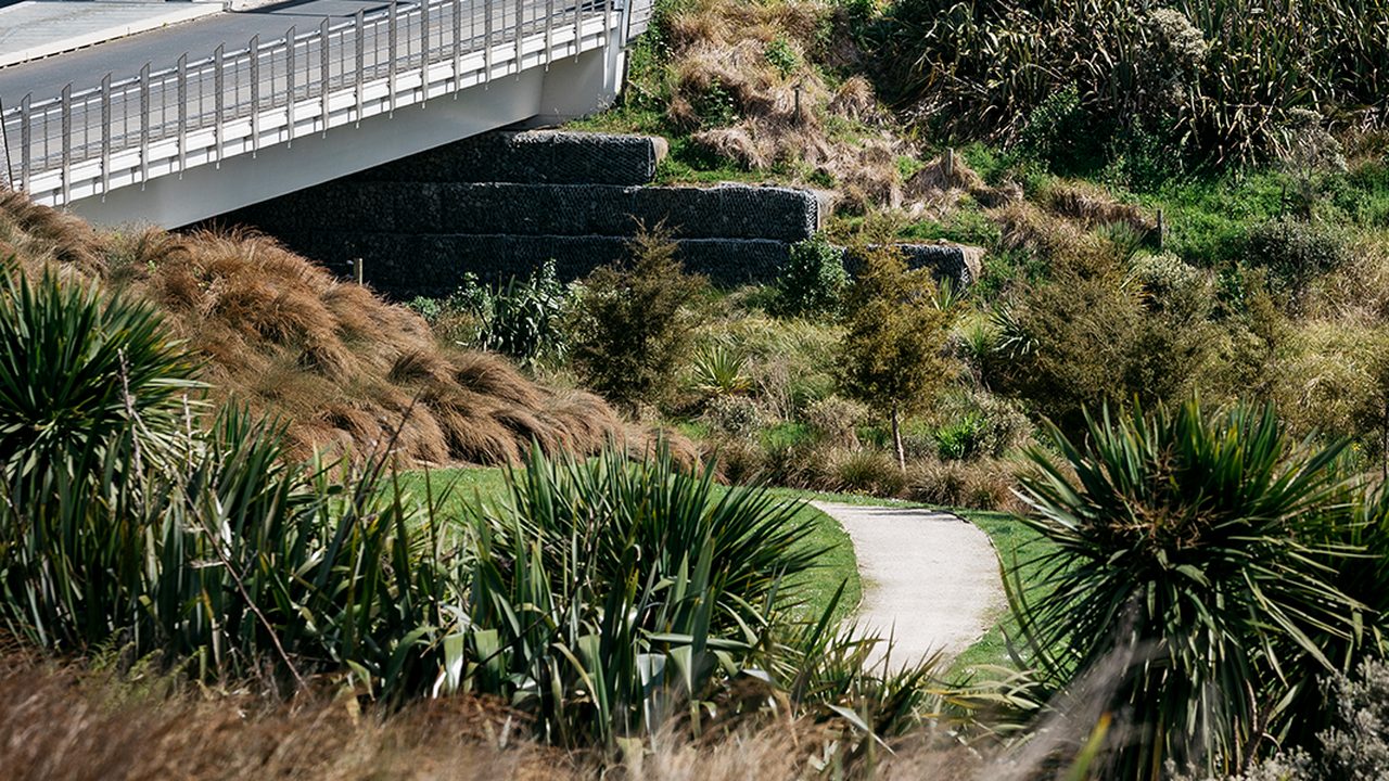 Long Bay neighbourhood development