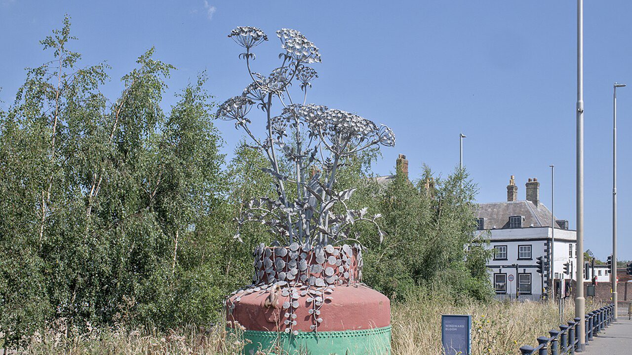 Maintenance for biodiversity