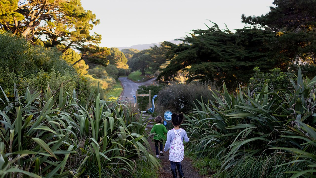 Matairangi Nature Trail