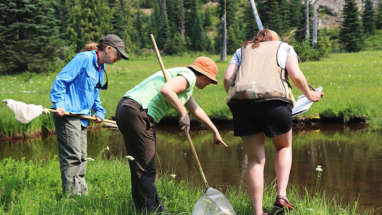 Monitoring for biodiversity