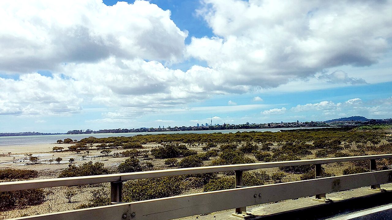 Mōtū Manawa–Pollen Island Marine Reserve