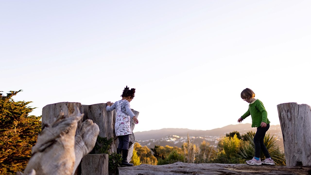 A natural playground integrating native vegetation and natural materials to support unstructured children's play while creating functional urban habitat in Aotearoa New Zealand.