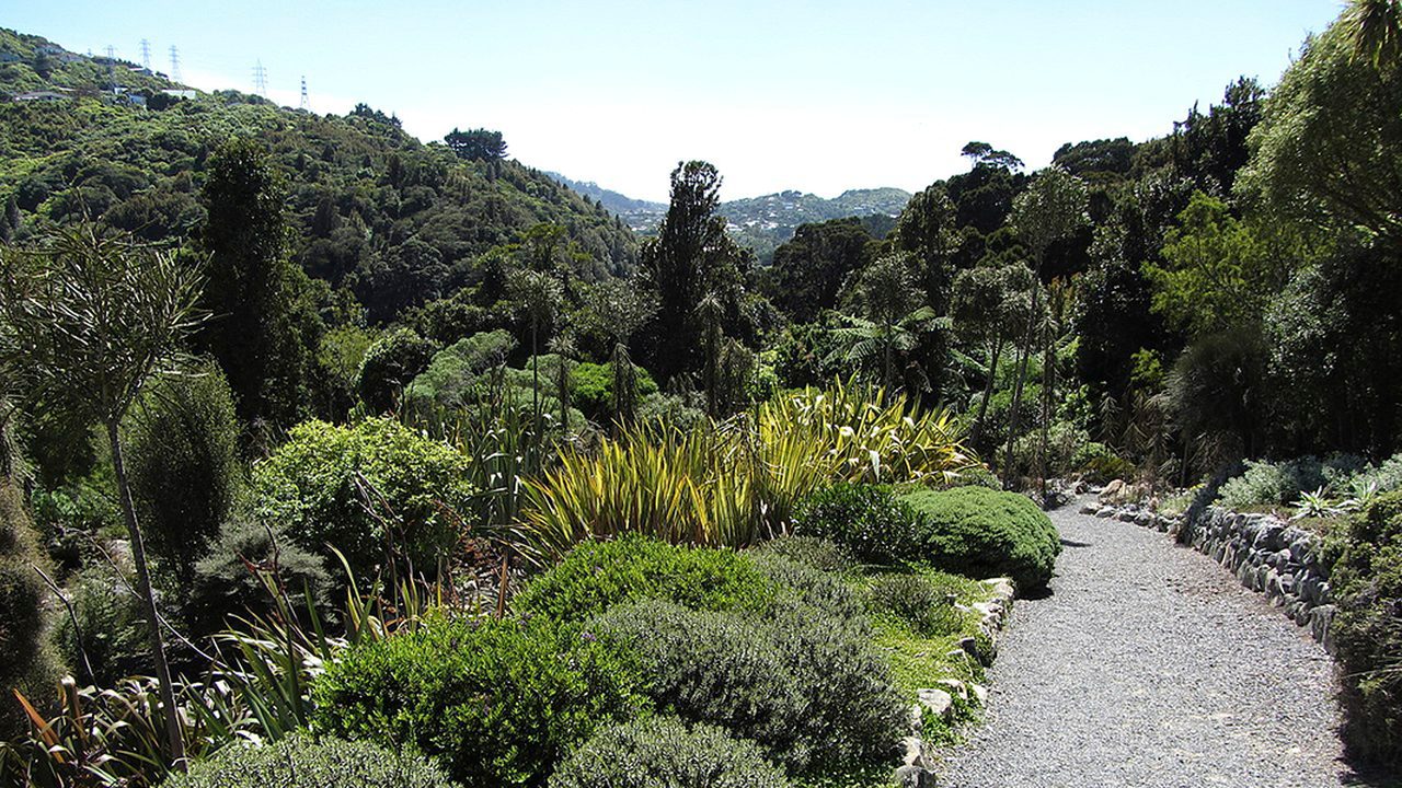 Otari-Wilton’s Bush
