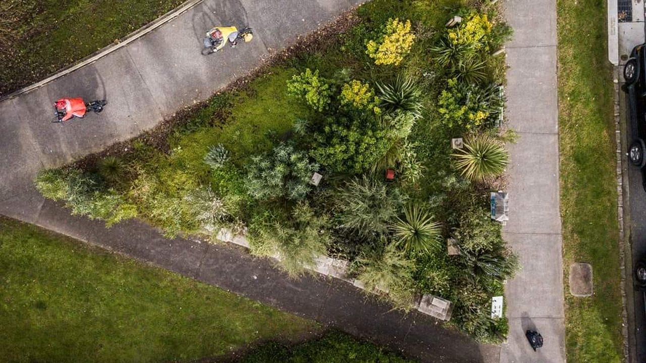 Pollinator pathways and flora plantings