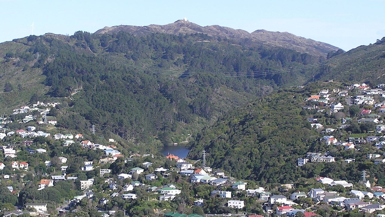 Urban forest restoration