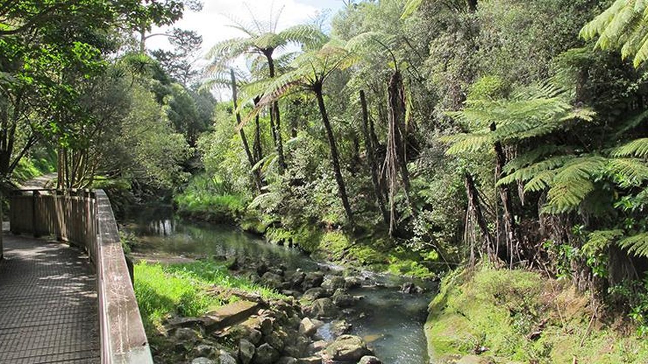 Urban riparian restoration and shading