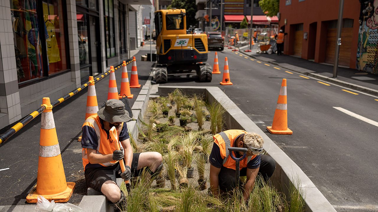 Wellington Rain Gardens