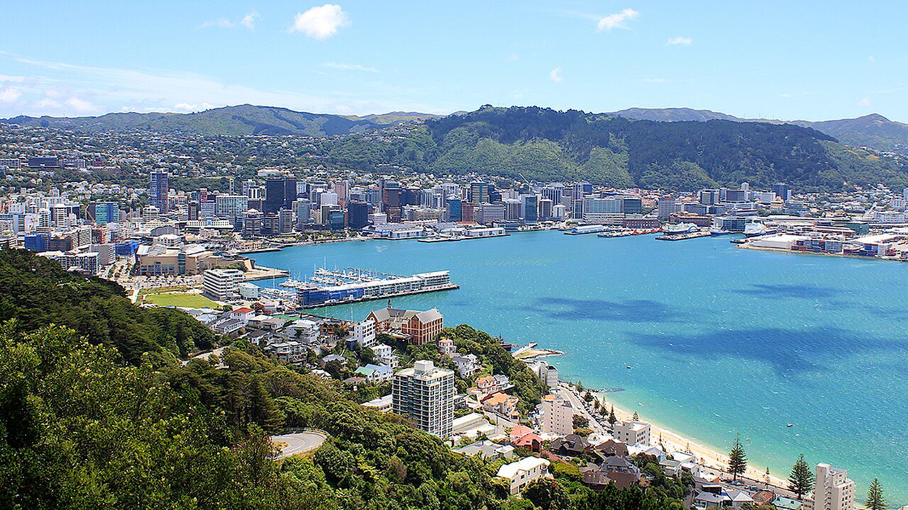 The Wellington Town Belt, a continuous band of native bush and open space encircling central Wellington, providing urban biodiversity habitat and ecological connectivity.