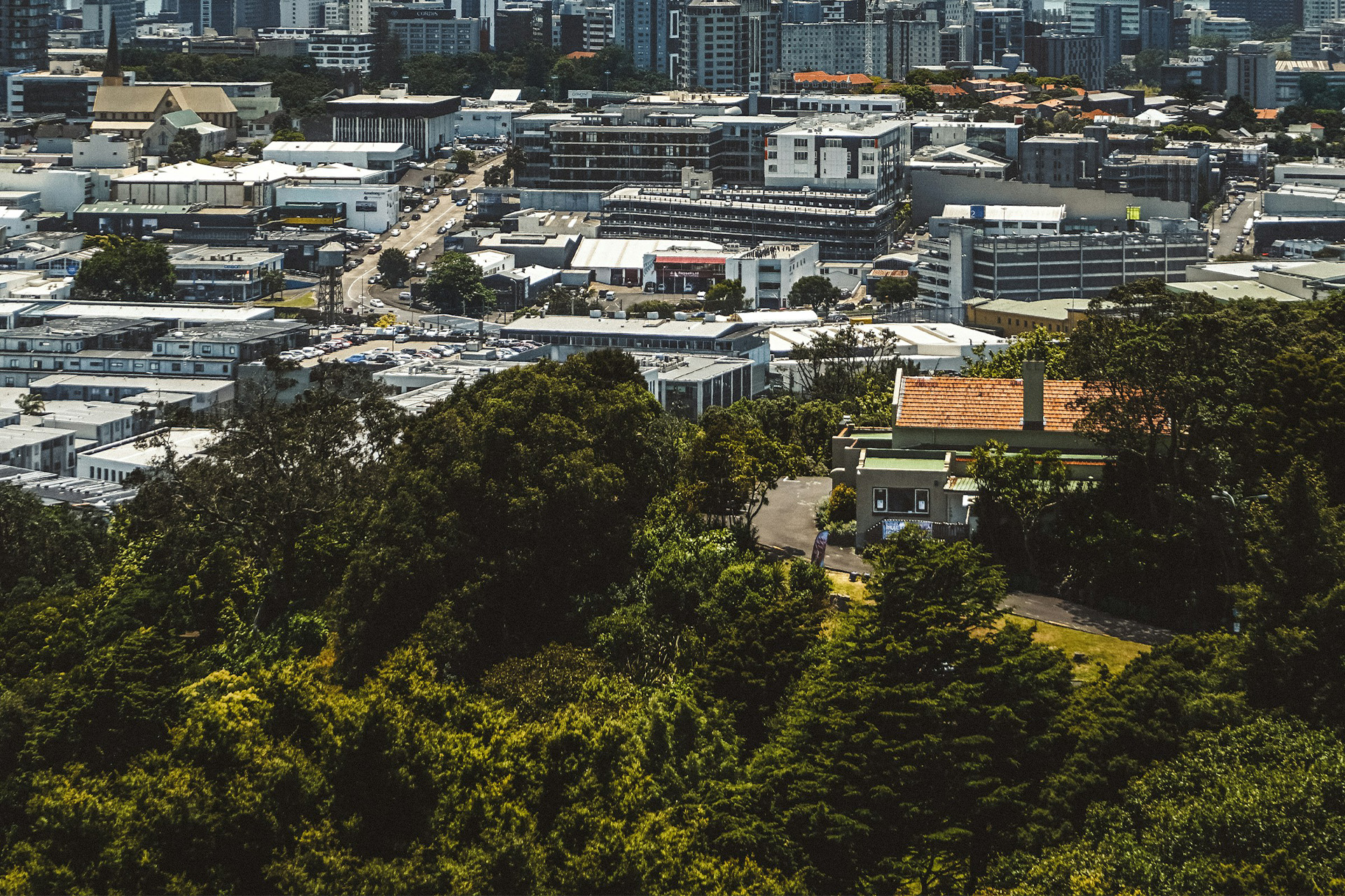 Priorities, concerns, and potential compromises amongst urban forest stakeholders: international lessons from Aotearoa New Zealand