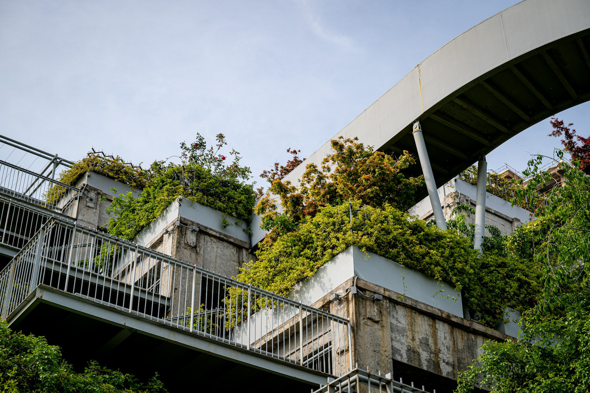 Denser housing can be greener too – here’s how NZ can build better for biodiversity