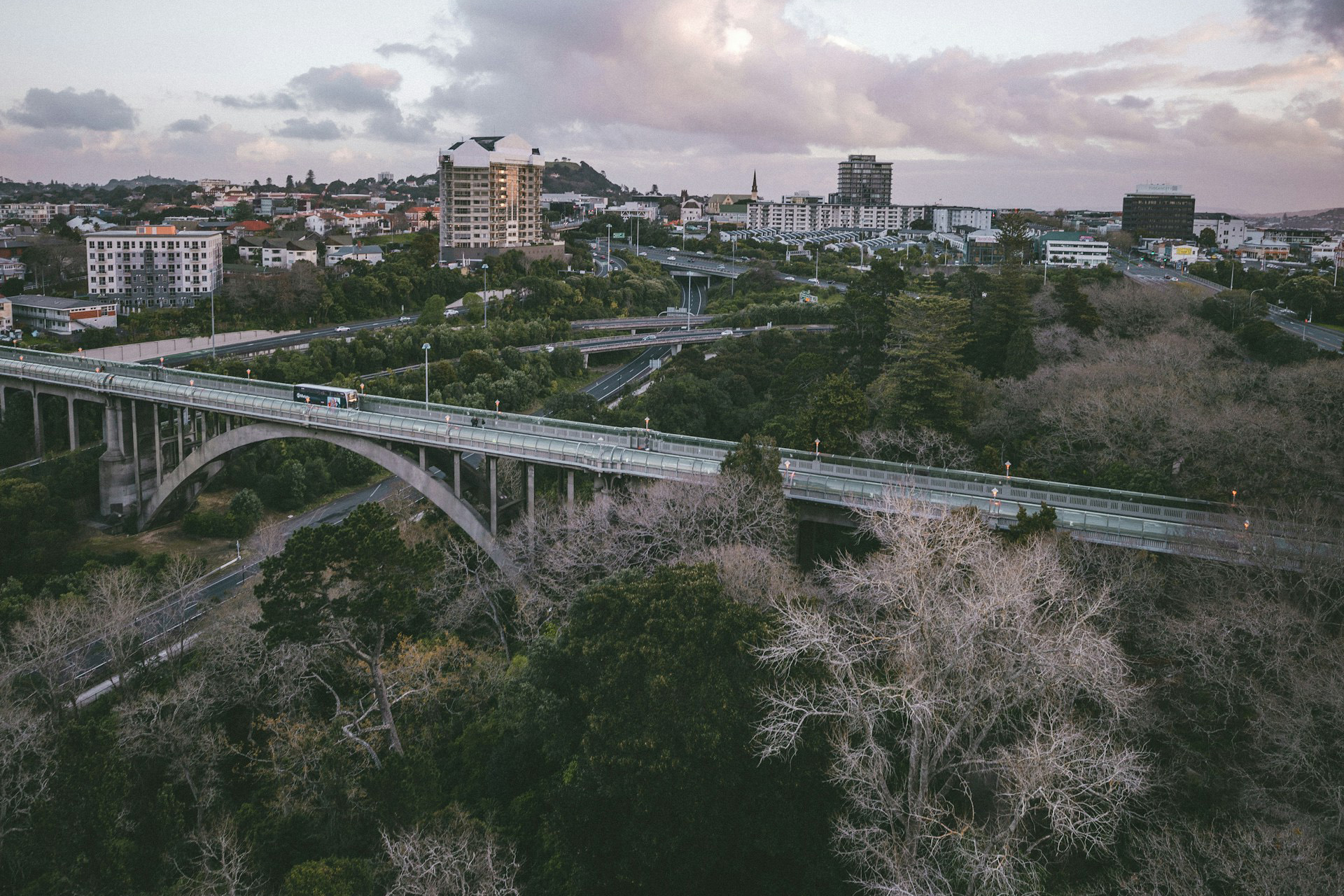 Working together to scale ecosystem restoration: collective approaches to community action in Aotearoa New Zealand