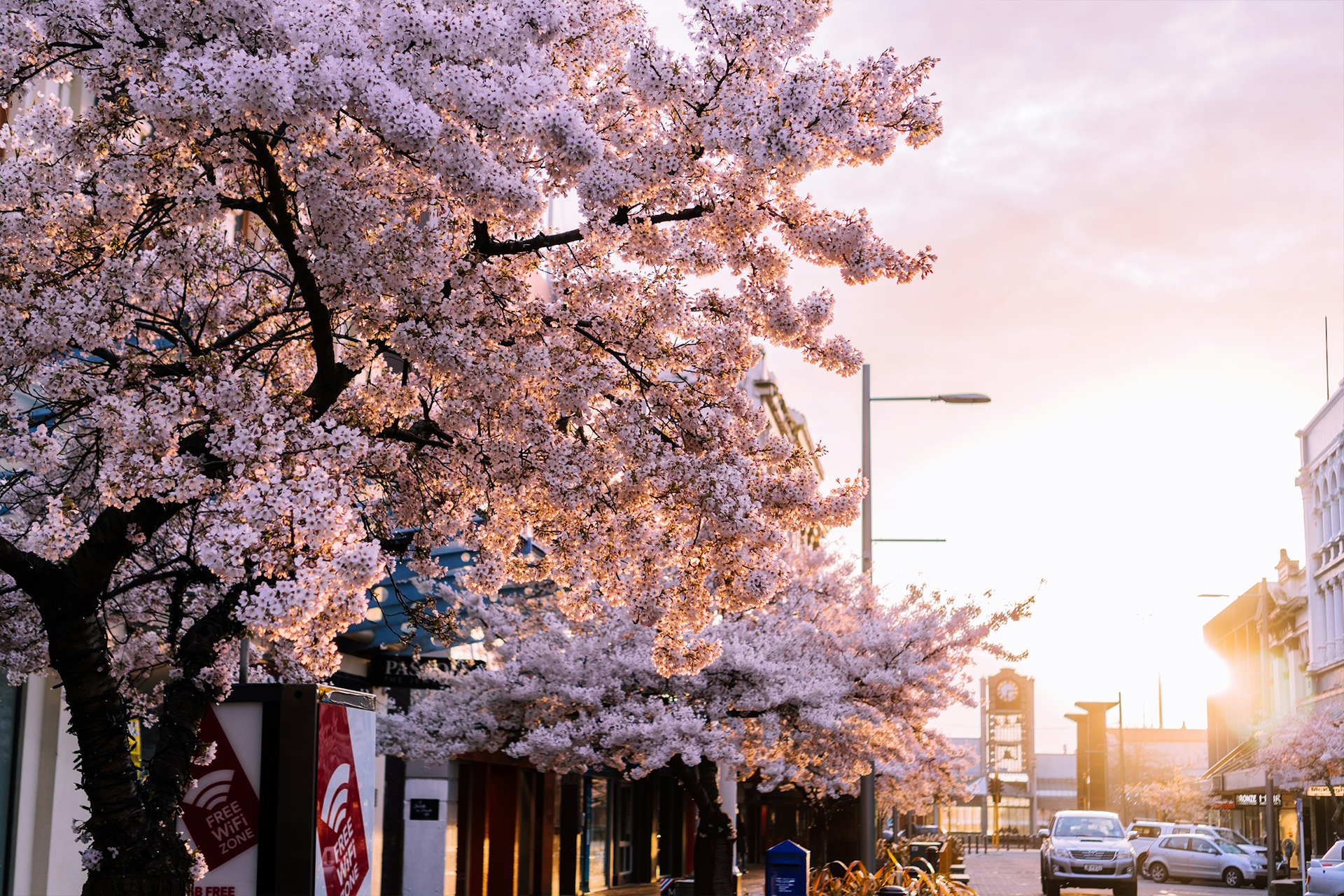 Socio-Ecological ‘In-Between’ Spaces Within Residential Developments in Aotearoa