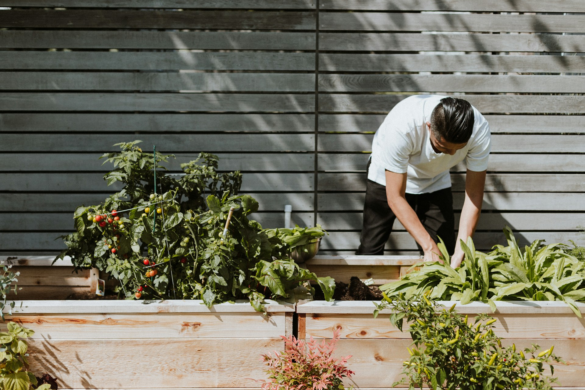 An examination of the factors influencing engagement in gardening practices that support biodiversity using the theory of planned behavior