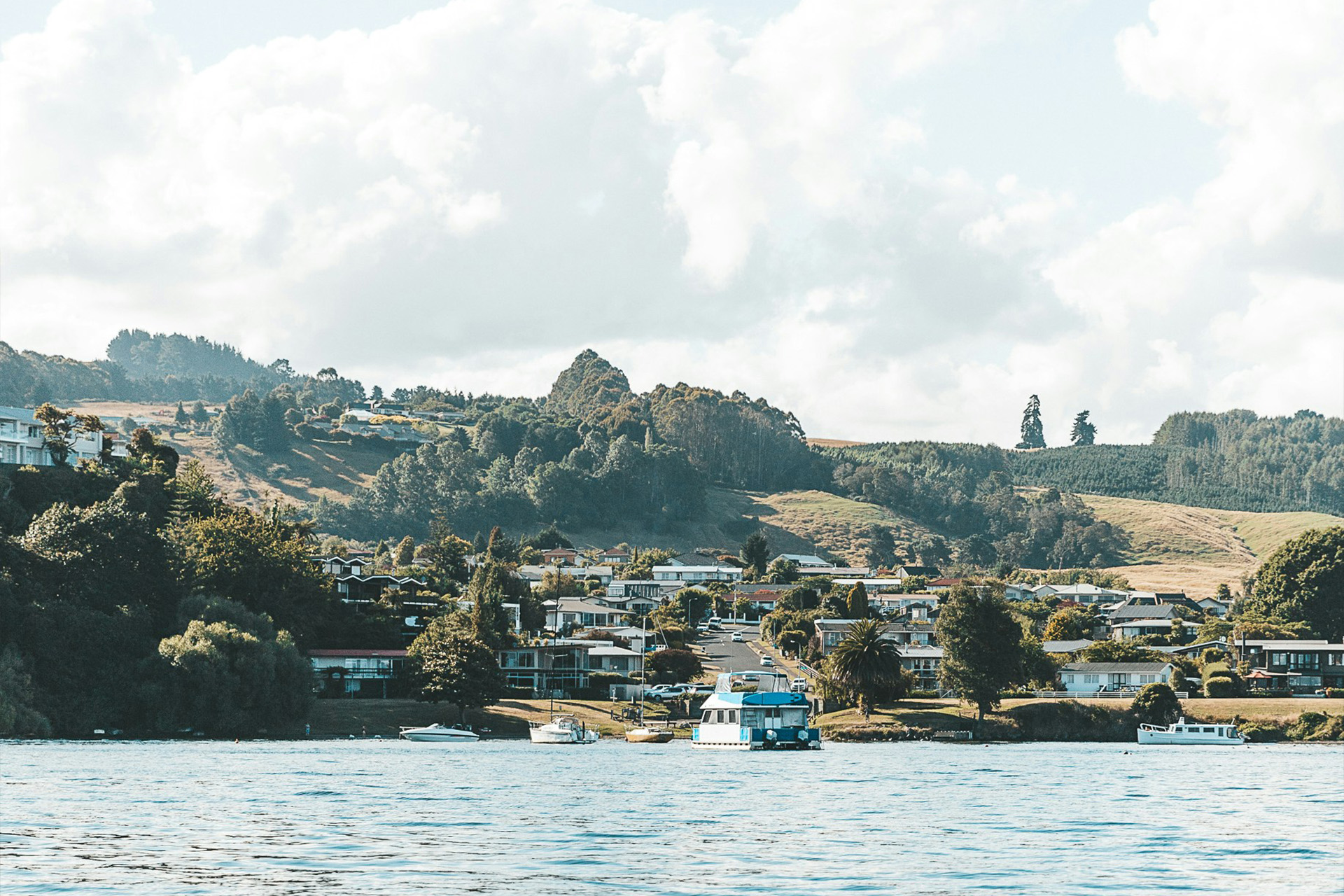 Biodiversity in suburbia: exploring strategies for retrofitting biodiversity in residential space across Aotearoa New Zealand