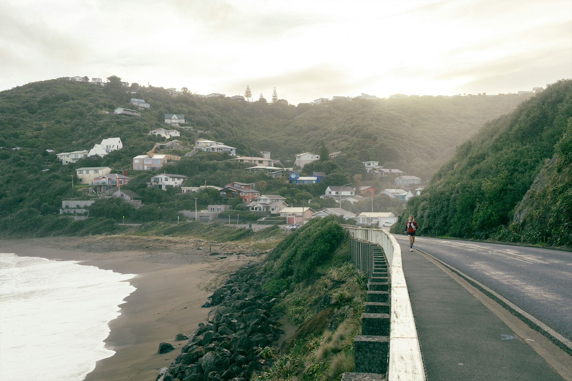 Urgent biophilia: green space visits in Wellington, New Zealand, during the COVID-19 lockdowns