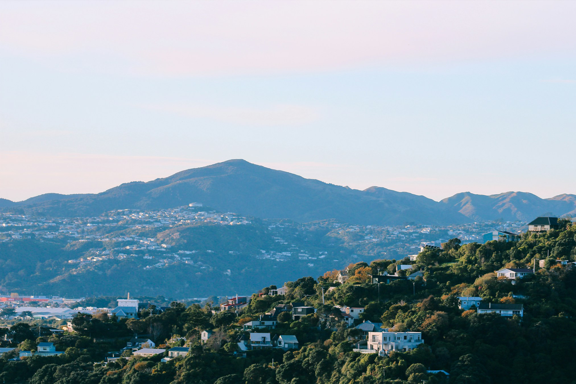 Ecological Connectivity in the Densifying City-Strategies for Enhancement