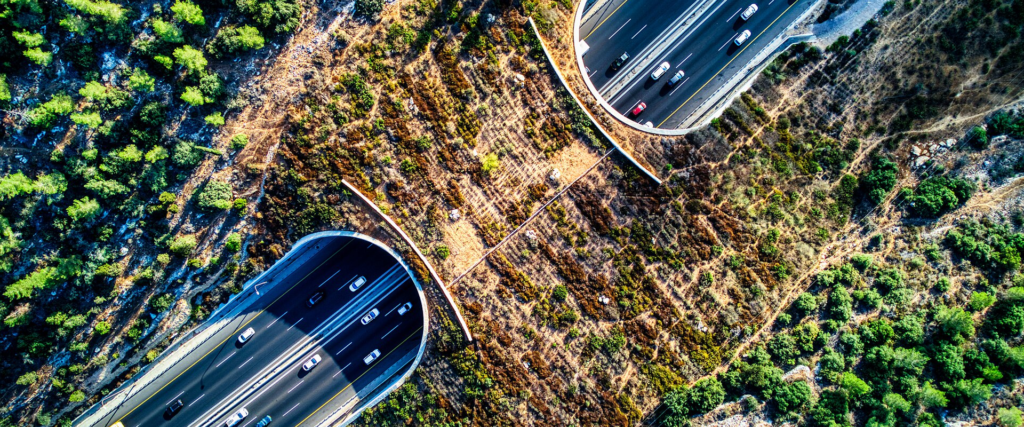 Bird's eye view of a wildlife bridge over a motorway