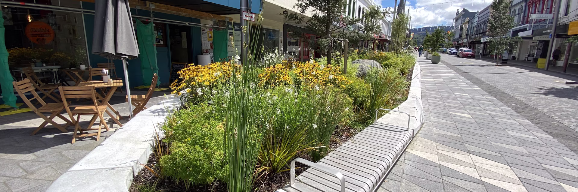 Dunedin’s inner‑city greening project shows even small spaces can be wildlife havens